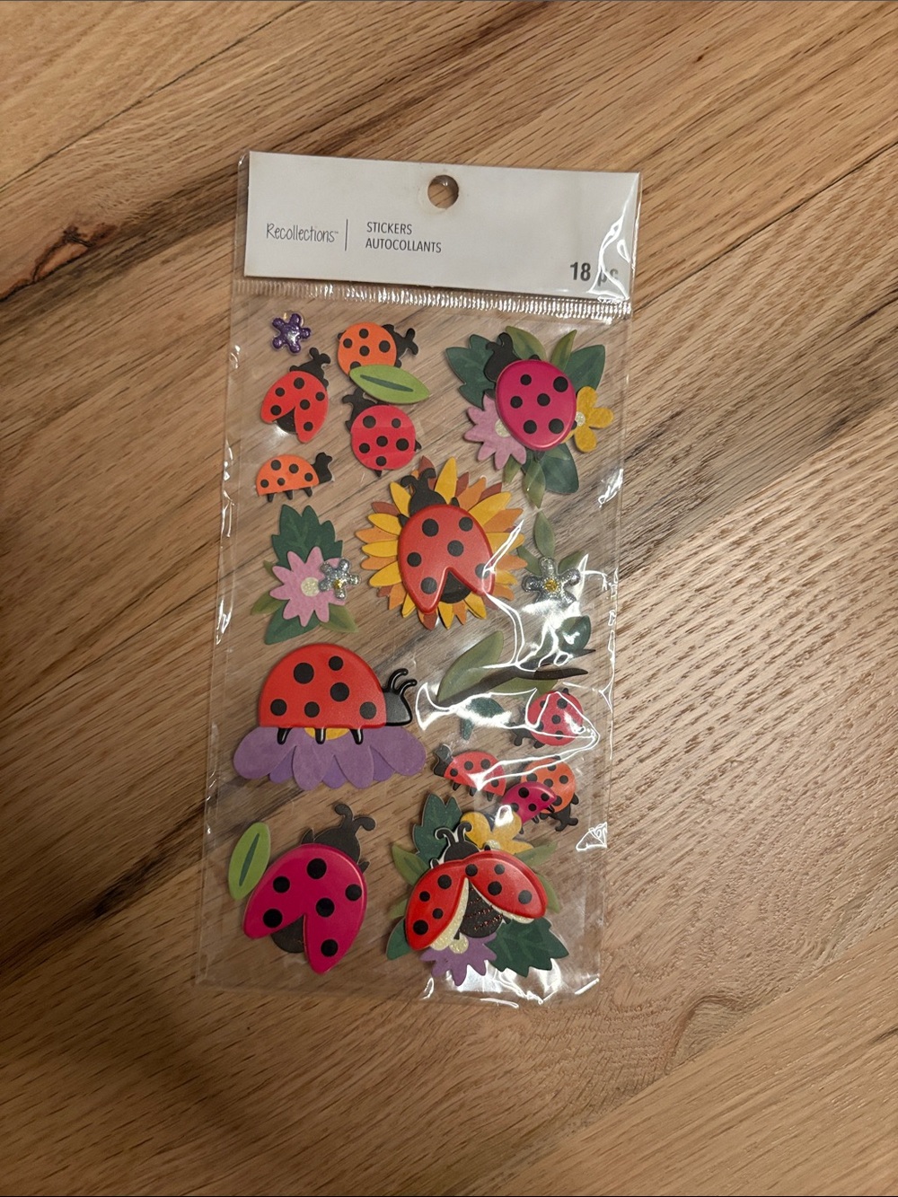 Recollections Kids Ladybug Foam Sticker Pack - Red and Pink